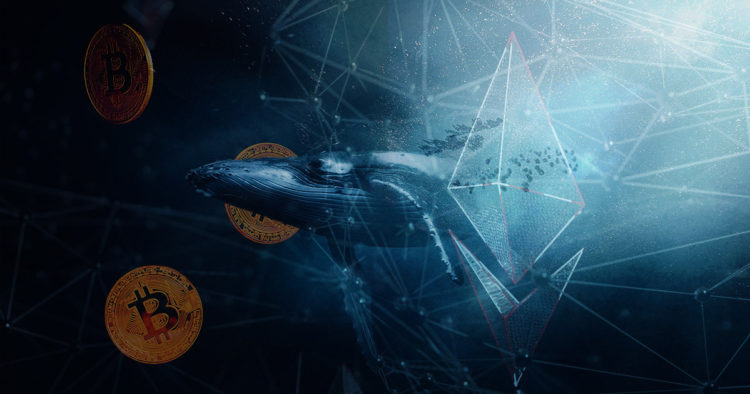 Bitcoin drops from key levels with whales on the move; Ethereum continues to gain ground with Bellatrix fork