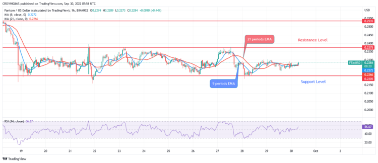  Fantom (FTMUSD) Prices May Bounce Up at $0.21 Support Level