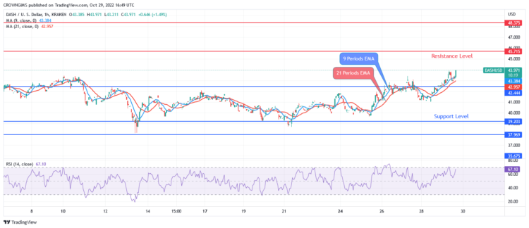 DASH Breaks Up $42 Level Targeting $45 Level