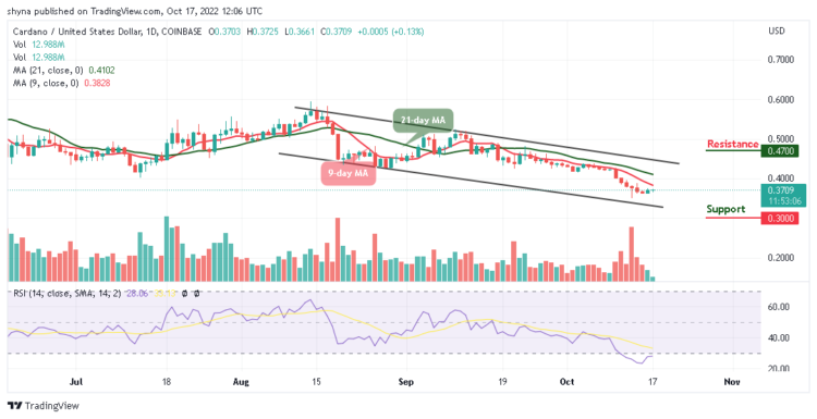 ADA/USD Bulls May Push the Price Upward
