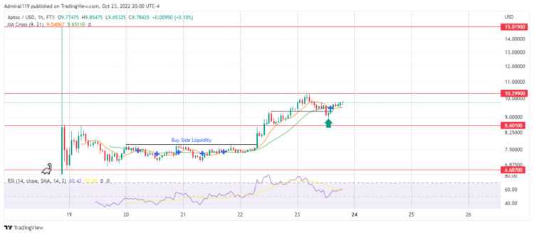 CSPR, APT, TAMA and IM