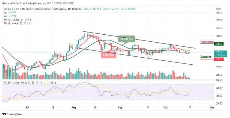 BNB/USD Breaks Above $250 Level