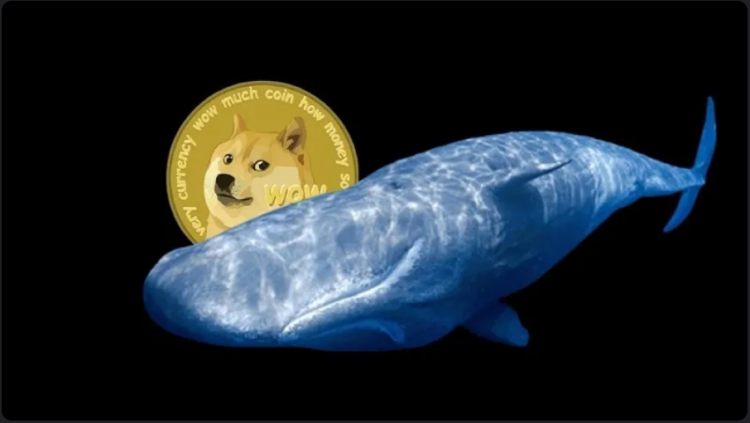 Dogecoin (DOGE) Manipulated By Whales? A Look Off / On-Chain