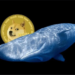 Dogecoin (DOGE) Manipulated By Whales? A Look Off / On-Chain