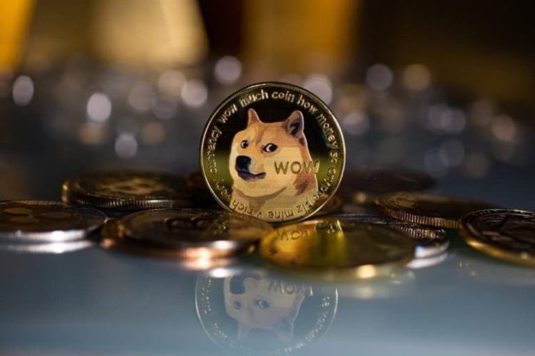 Dogecoin Holders Increased By 100K In Just Three Months