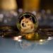 Dogecoin Holders Increased By 100K In Just Three Months