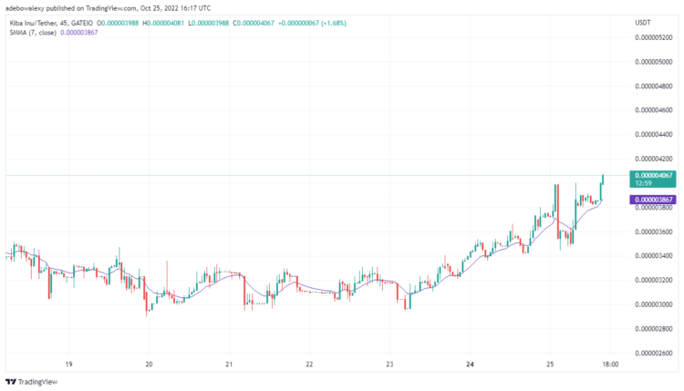 Kiba Inu Price Prediction Today, October 26, 2022: KIBA/USDT Price Rises Upwards