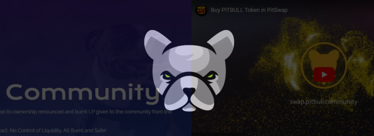 Newest Meme Coin Tamadoge Flips Pitbull on CoinMarketCap