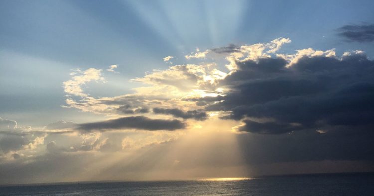 Jack Dorsey-Backed Decentralized Social Network Bluesky Gets 30,000 Signups in 48 Hours