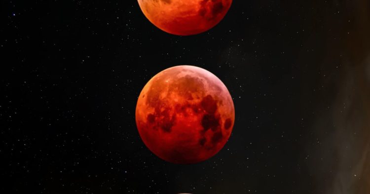 Terra Developers Unveil 4-Year Plan to Revive LUNA Ecosystem