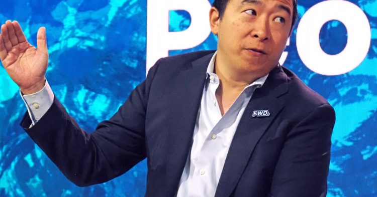 Andrew Yang, an Ex-US Presidential Candidate, Joins Web3 Platform Pool Data as Adviser