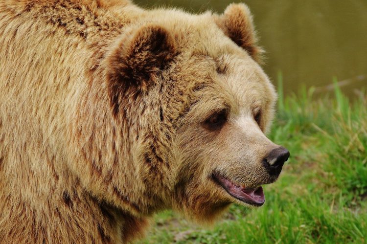 Reports Show Bear Market Didn’t Affect Crypto Fundamentals