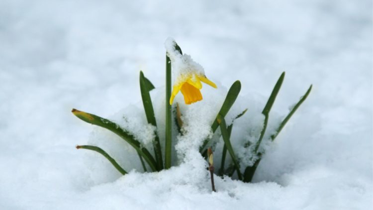 Can Bitcoin Bring An End To Crypto Winter?