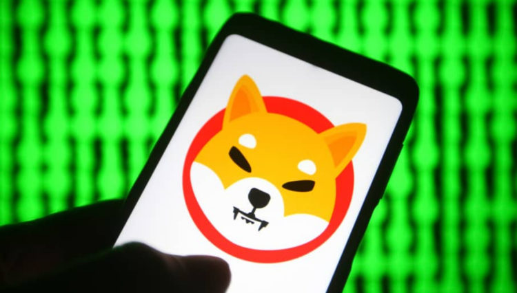 Shiba Inu Price is Not Going to $1 But These Coins Might