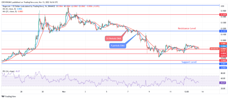 DOGE Is Under Bears’ Pressure