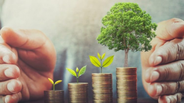 Eco-friendly Crypto Presale Raises $12 Million