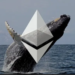 Ethereum Whales Front Run Major Move, On-Chain Data Suggests