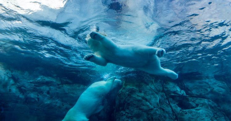 Market Wrap: Solana Plunge Highlights Major Cryptos’ Day in the Red