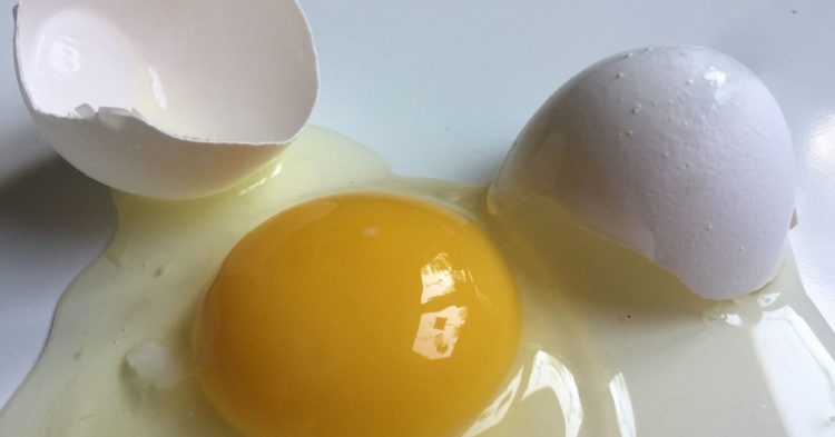 Crypto Fund Alameda's Ethereum Wallet Holdings Slumped 50% Since October