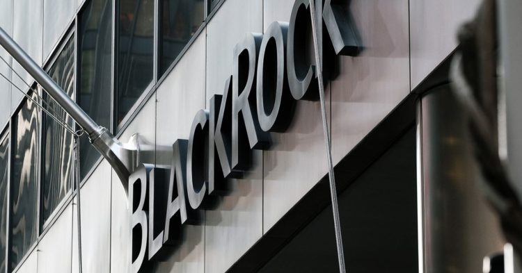 BlackRock CEO Says Firm Had Invested $24 Million in FTX: Reuters