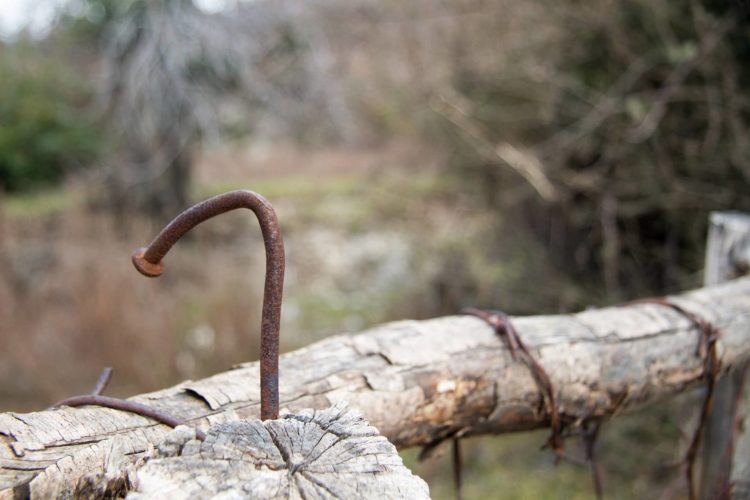 Algorand (ALGO) Loses Its Gains As Majority Of Coins Plummet