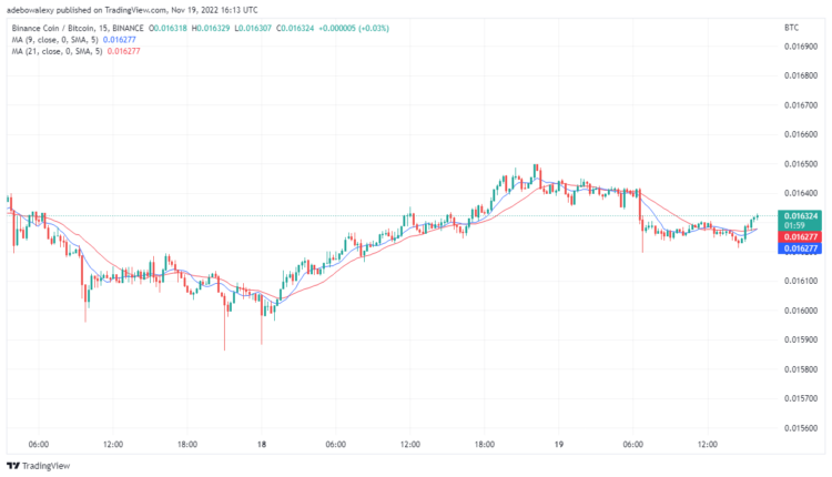 BNB/USD Struggles to Remains Above the $266 Support