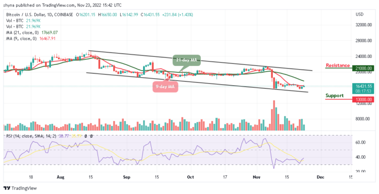 BTC/USD Begin to Show Bullish Signals