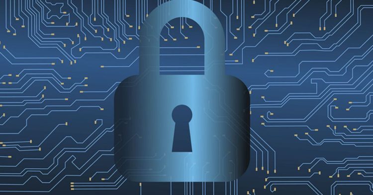 Slava Rubin Says Web3’s Future Will Be Based on Decentralized Data Storage