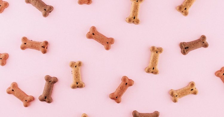 Dogecoin Led the Pack Among Cryptocurrencies in October With 17 Times Bitcoin’s Gains