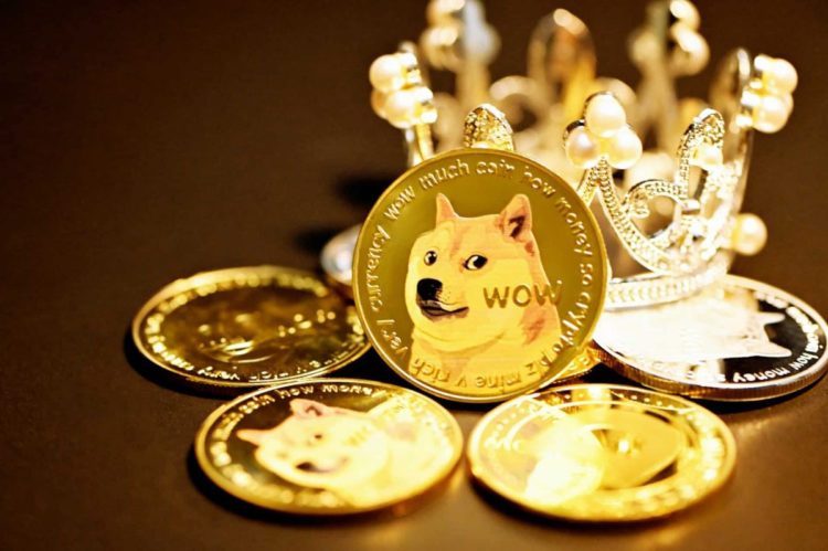 Over 60% Of Dogecoin Holders Continue To Profit After FTX Crisis