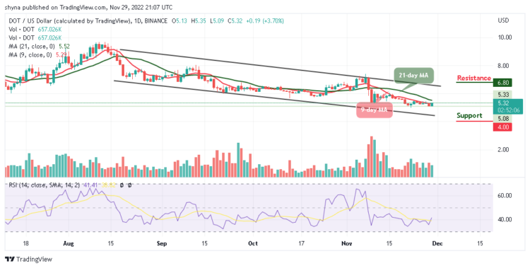 DOT/USD Clings to $5 Despite Bear Market