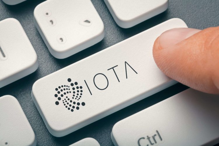 IOTA can help to solve blue verification badge issue from Twitter for millions of people