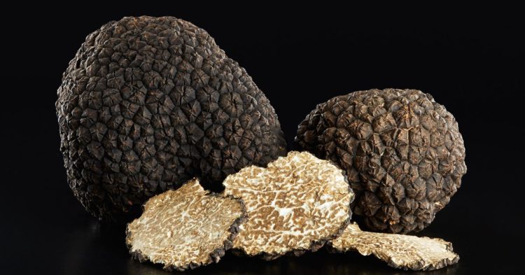 Mobile-Focused Blockchain Celo Partners with Ethereum-software Firm ConsenSys