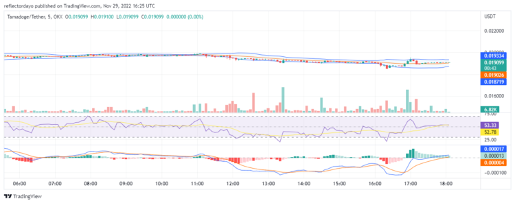 The Bias on TAMA Is Bullish