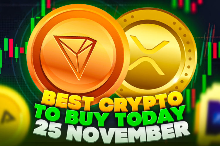 Best Crypto to Buy Today D2T, 25 November – D2T, XRP, TARO, TRX, RIA