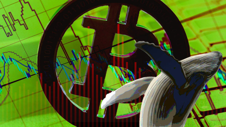 Retail begins accumulating Bitcoin while whales continue to sell