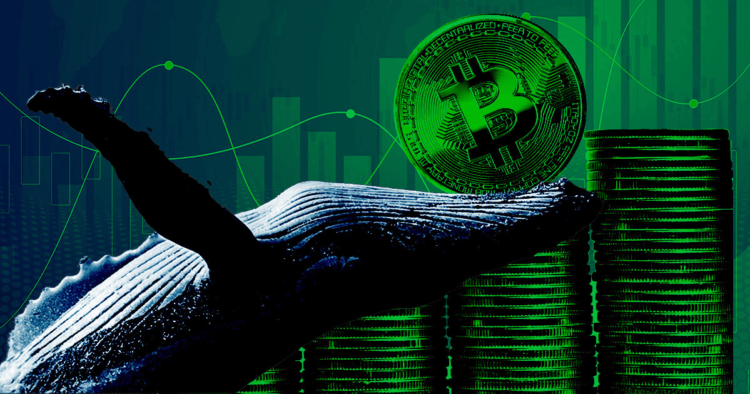 FTX implosion leads to aggressive Bitcoin accumulation for investors