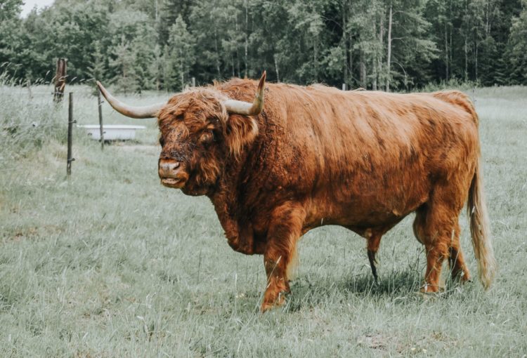 Bitcoin Breaks $21k As Market Shows Signs Of Accumulation