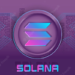 Solana weathers the FTX storm as SOL rises; RobotEra presale