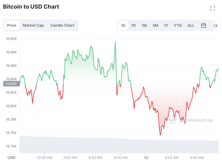 Here’s Why Bitcoin Price May Pump to $20,000 — But C+Charge is a More Profitable Alternative