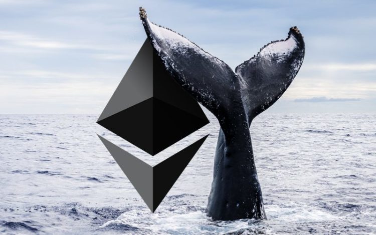 Ethereum Price Balks As Dormant Whales Reactivate