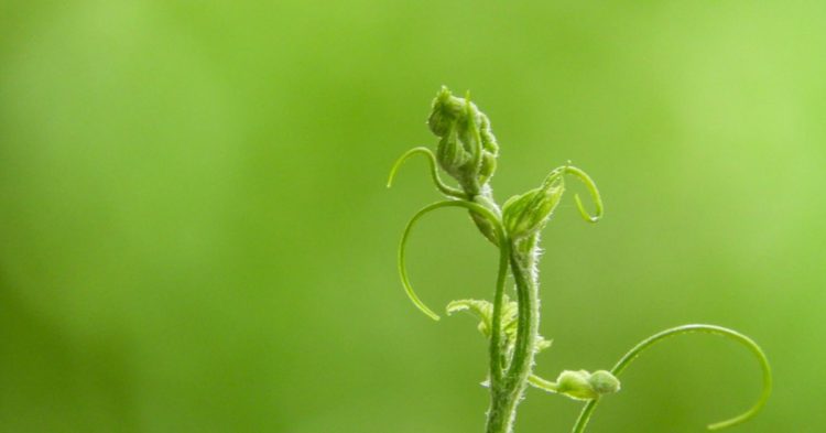 Regenerative Finance Brings Sustainability to Crypto – Crypto 2023