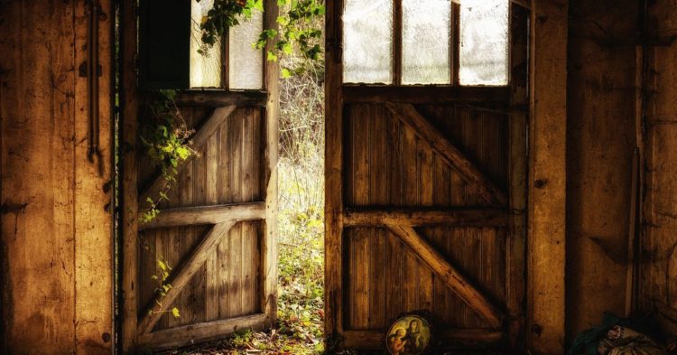 Bitcoin’s Stagnant Crypto Dominance Points to Investor Exodus After FTX Bankruptcy