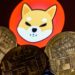 Shiba Inu Developer’s Cryptic Tweet Sends Investors Wild