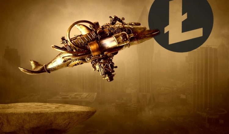 Whales are Piling Into This Coin