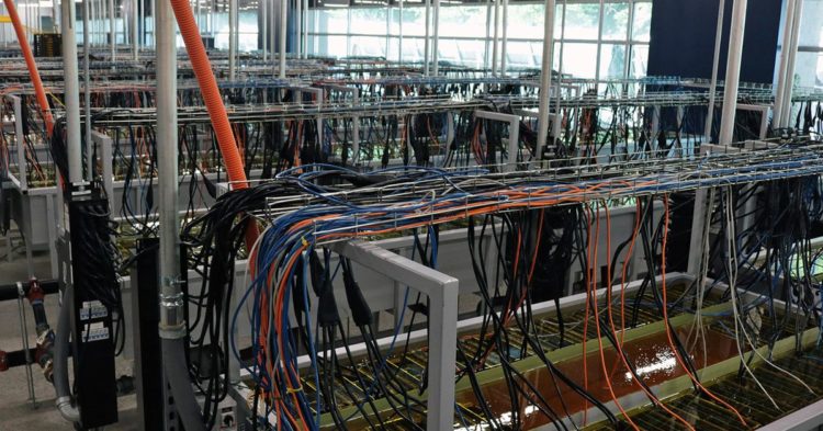 Bitcoin Miner CleanSpark Cuts 2023 Hashrate Outlook by Nearly 30%