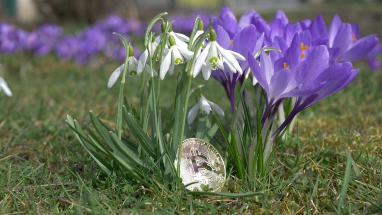 Next ‘Crypto Spring’ Could Be ‘Unlike Any Other’ – Because of This Factor