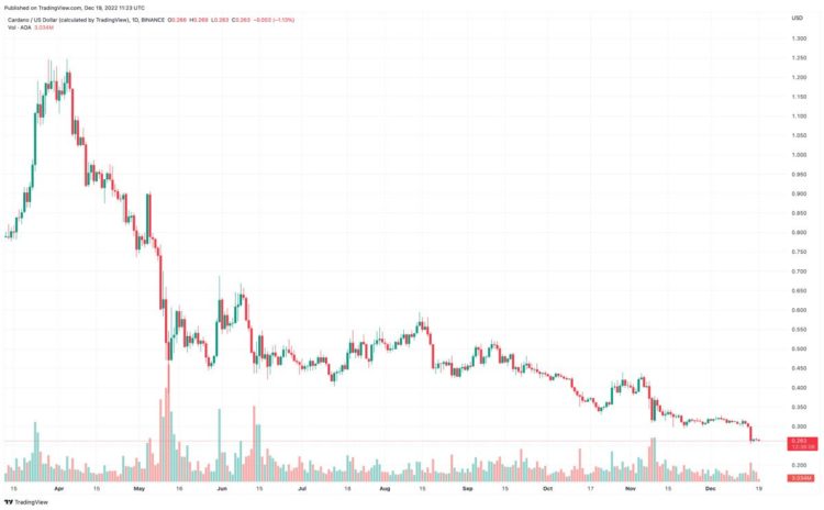Is it Too Late to Buy Cardano? Crypto Experts Give Their ADA Predictions