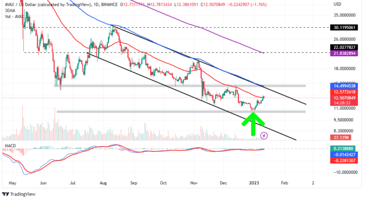 Avalanche Rally Faces Turbulence But AVAX Price Stays Steady, Eyes $30 Next