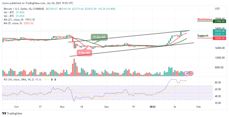 Bitcoin Price Prediction for Today, January 24: BTC/USD Reclaims $23,000 Level